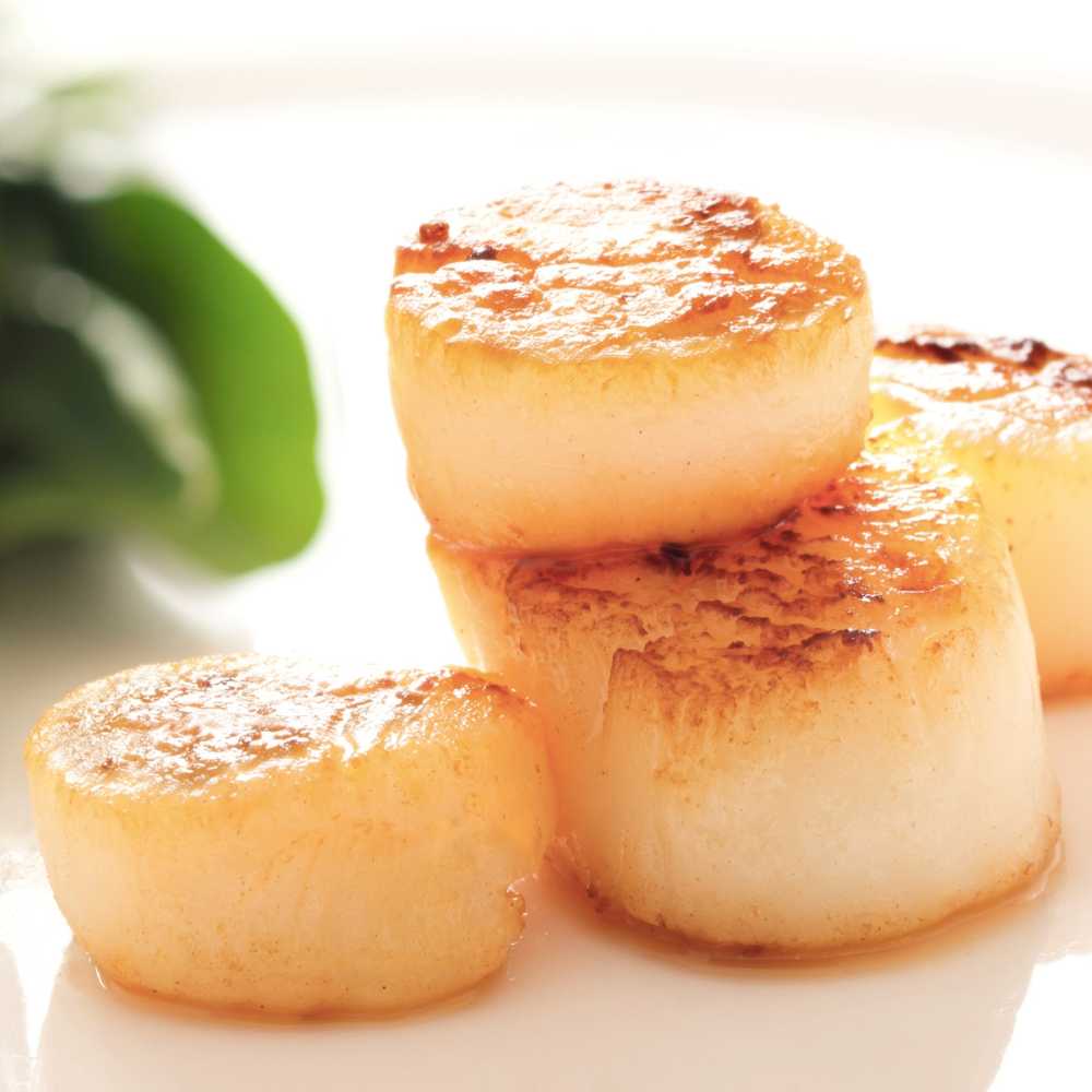 Divers Scallops – U10 Dry
