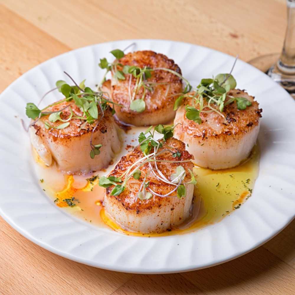 Divers Scallops – U10 Dry