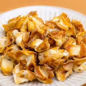 Conch Meat