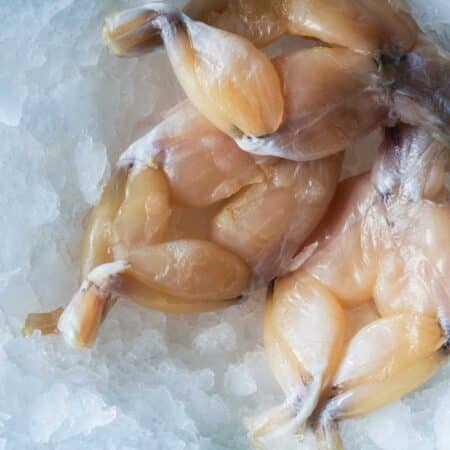 Frog Legs