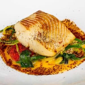 Halibut