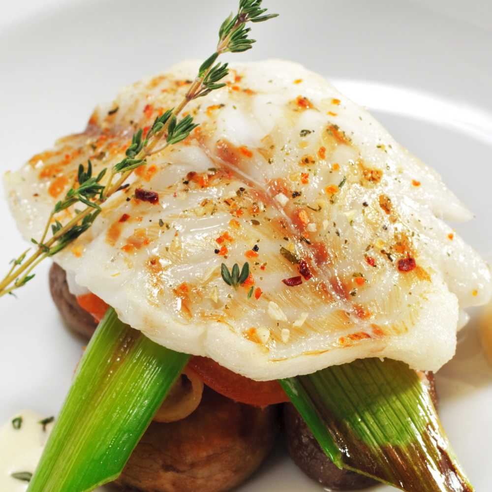 Halibut