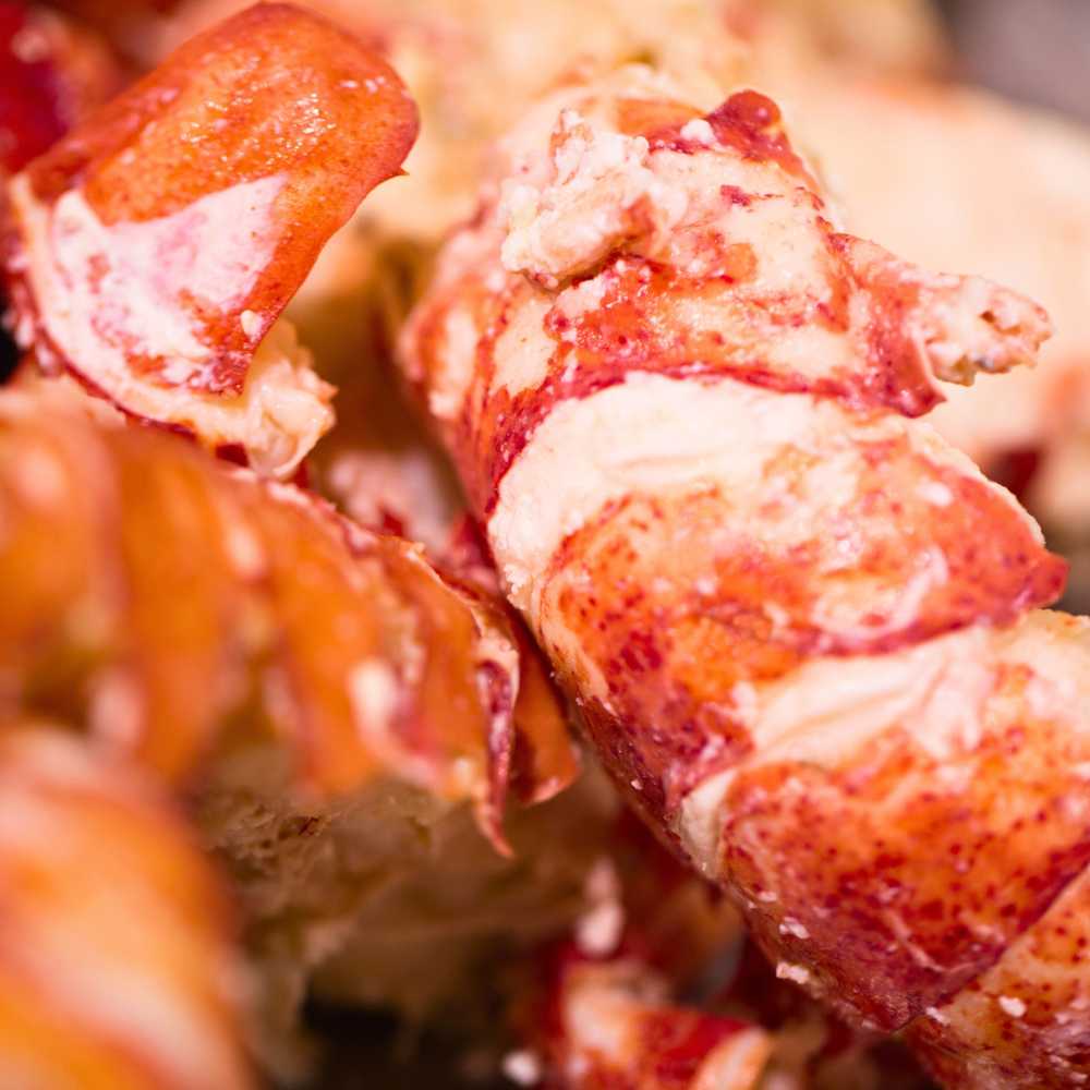 Lobster Meat