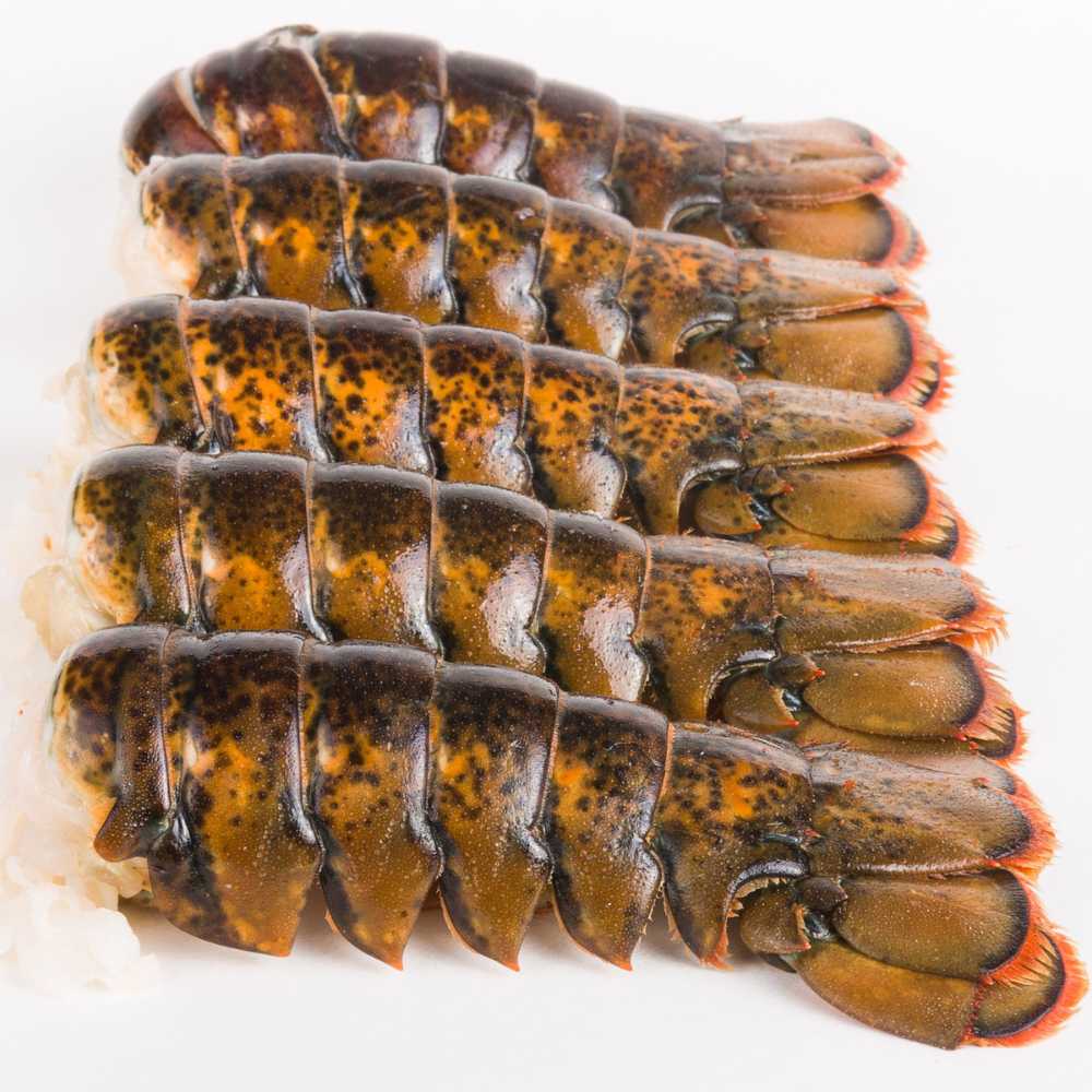 Lobster Tails