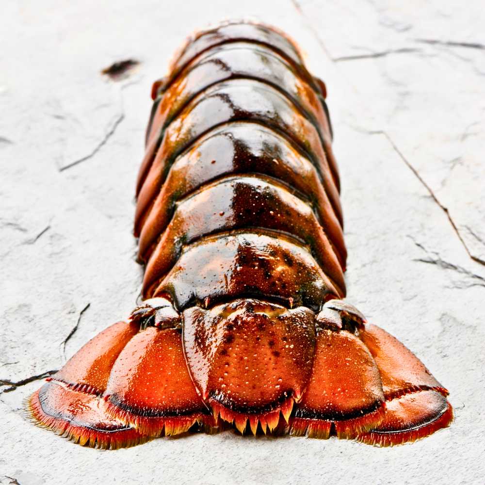Lobster Tails