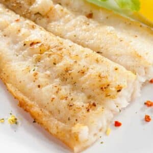 Orange Roughy