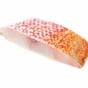 Red Snapper